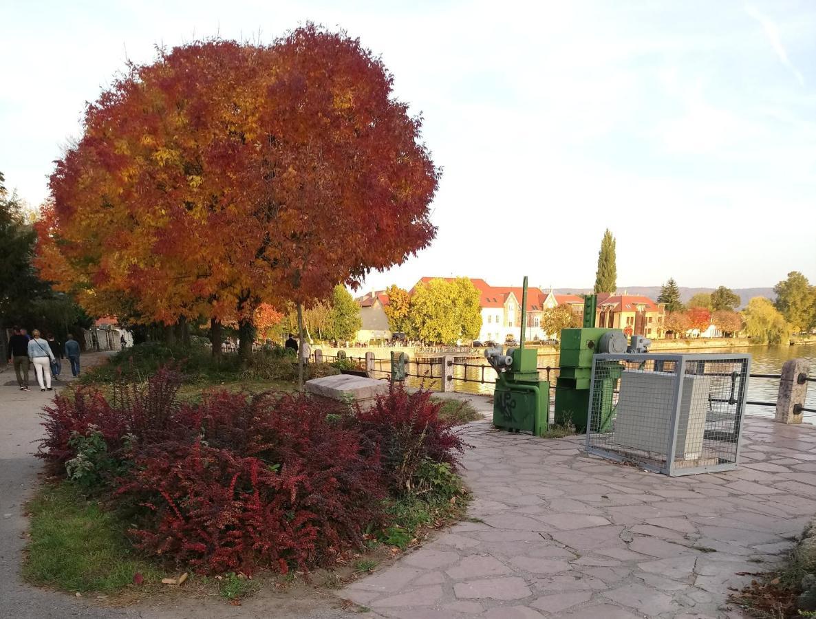 Panzio Tata Bed and Breakfast Exteriör bild